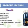 Norland Propolis Lecithin Capsule - 60 Capsules - Image 2