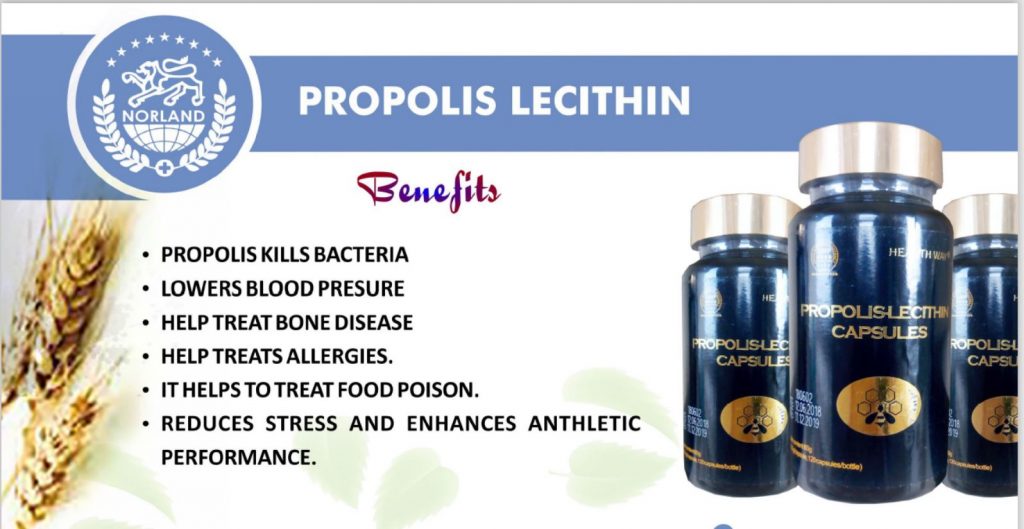 Norland Propolis Lecithin Capsule 60 Capsules Cherish Distributions